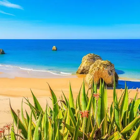 Апартаменты Lovely Oceanview House *